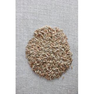Bio Waldstauden Roggen (ganzes Korn) * 1 kg