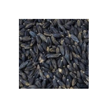 Bio Schwarzgerste ganzes Korn * 1 kg